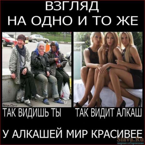 Приколы про алкогол Ков