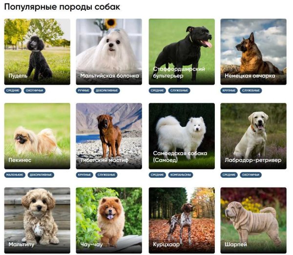 Самые смешные картинки породы собак с названиями пород