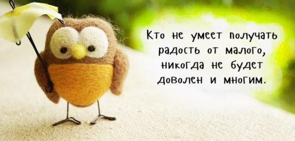 Позитив цитата