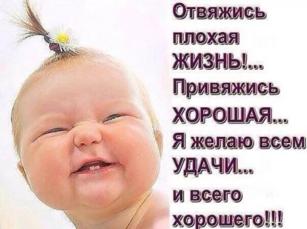 Интересные статусы с юмором