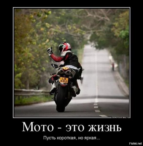 Смешные мотоциклы