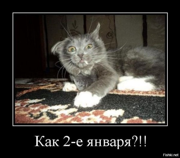 2 Января картинки прикольные