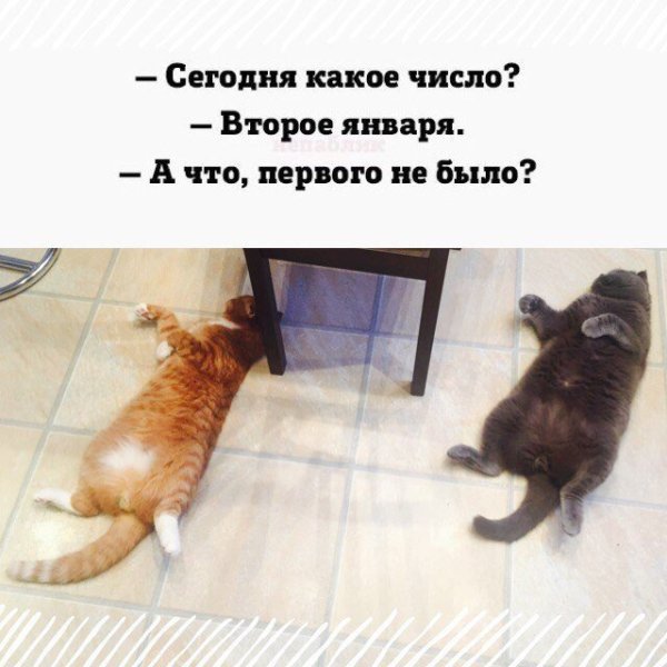 А что 1 января не было