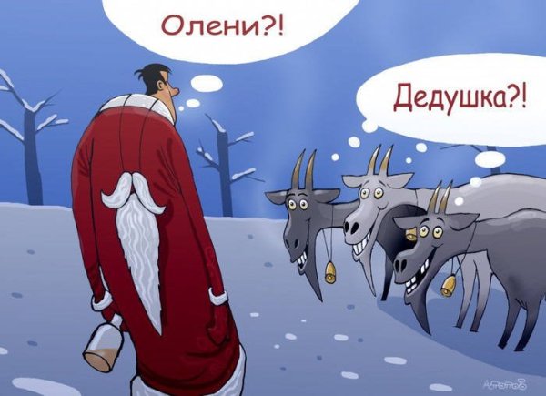 Приколы первого января