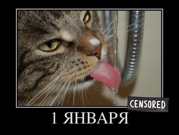 Утро первого января