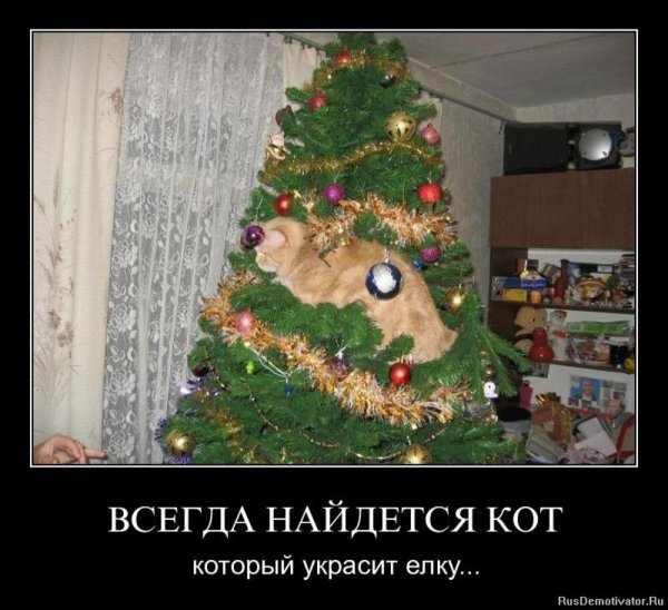 Прикольные новогодние картинки