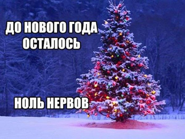 Новый год смешные картинки