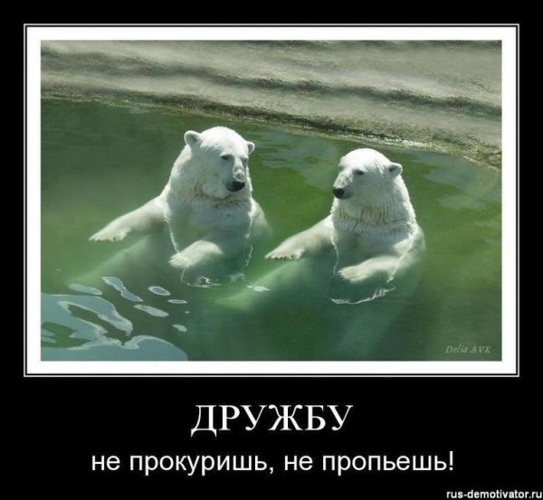 Приколы про друзей