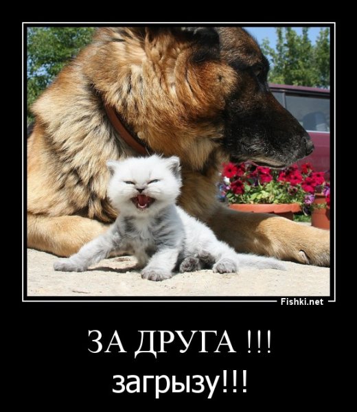 Приколы про дружбу