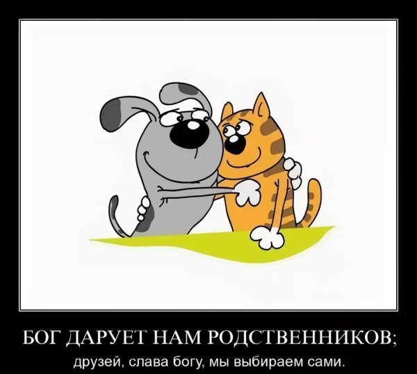 День друзей юмор