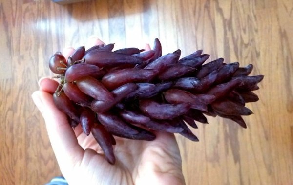 Смешные картинки виноград пальцы