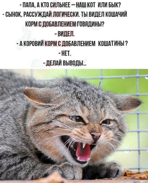 Смешные шутки