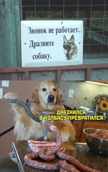 Картинки прикольные смешные с надписями