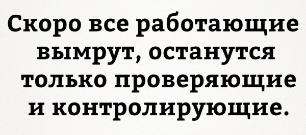Ревизия прикол