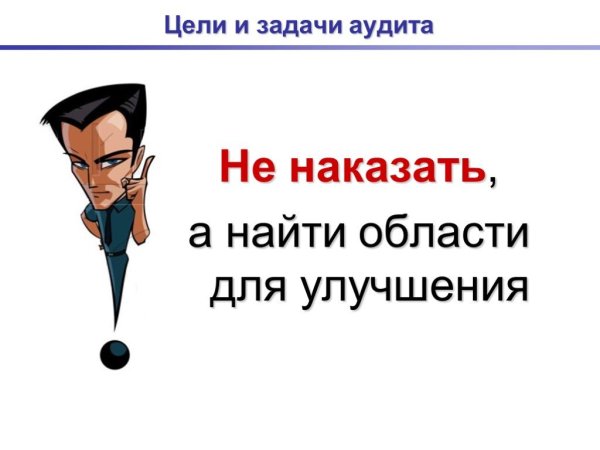 Аудитор прикол