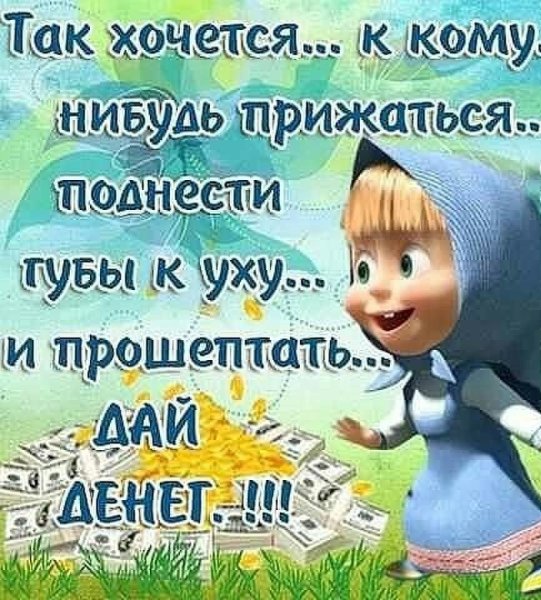 Картинки прикольные смешные с надписями