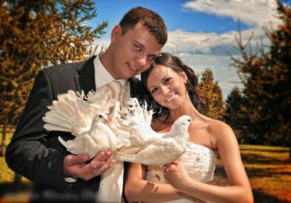 Смешные картинки свадебные с голубями