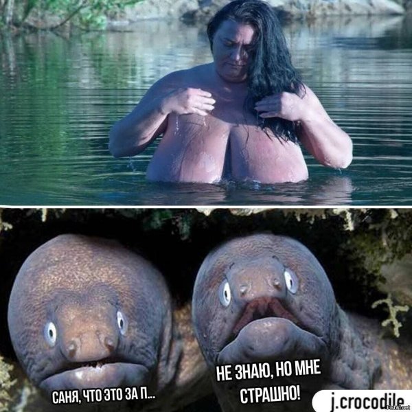 Угарные мемы