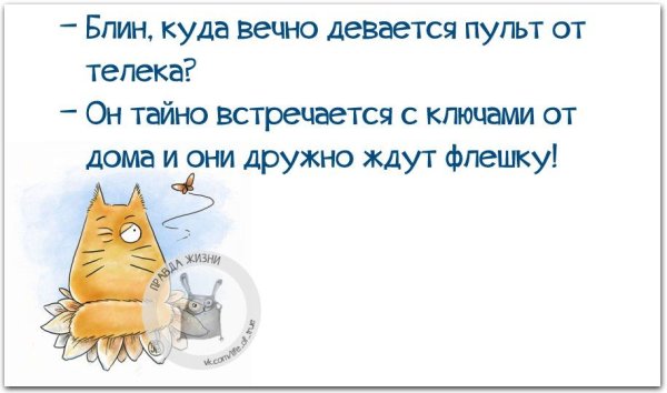 Острые смешные цитаты