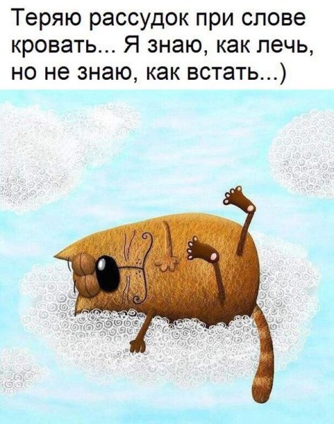 Смешные утренние высказывания