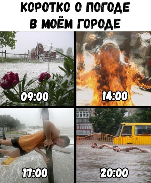 Смешные мемы про погоду