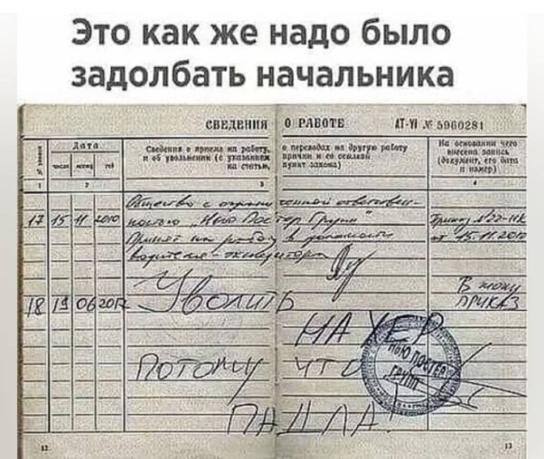 Прикольные записи в трудовой книжке