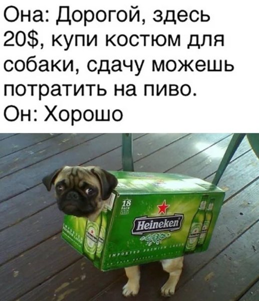 Картинки приколы смешные с надписями