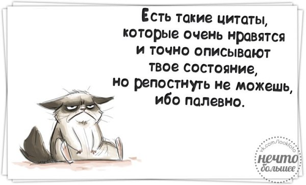 Смешные сарказмы и афоризмы