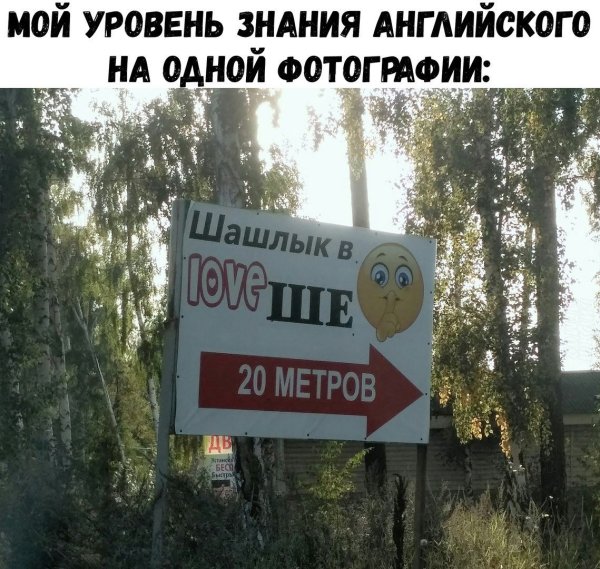 Смешные картинки с надписями