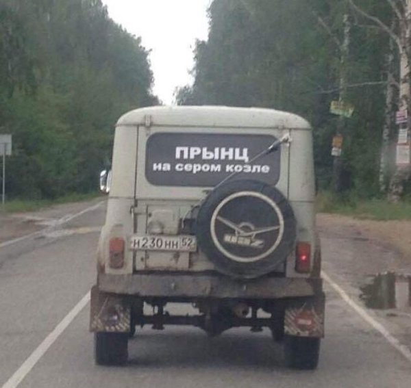 Смешные фото с надписями