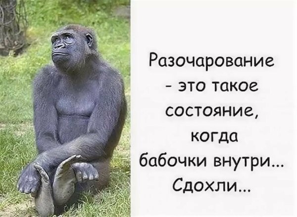Приколы с надписями для поднятия настроения