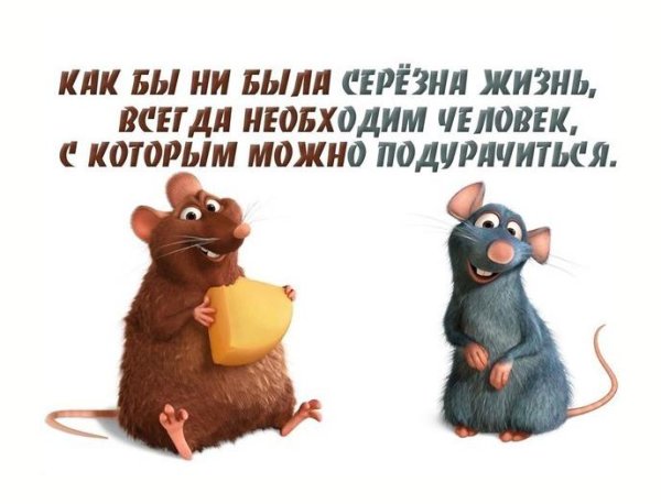Юмор для друзей в картинках