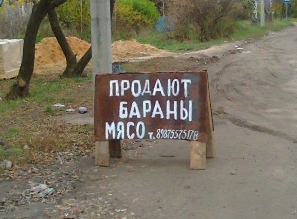 Смешные надписи