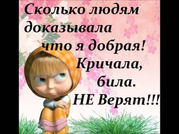 Смешные статусы в картинках