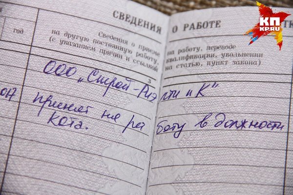 Прикольные записи в трудовой книжке