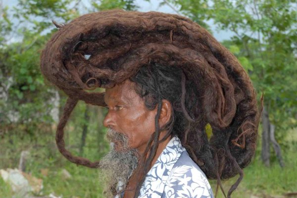 Самые длинные дреды