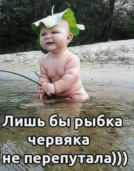 Прикольные рисунки с надписями