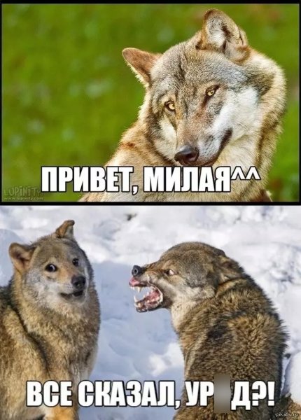 Прикольные картинки с надписями