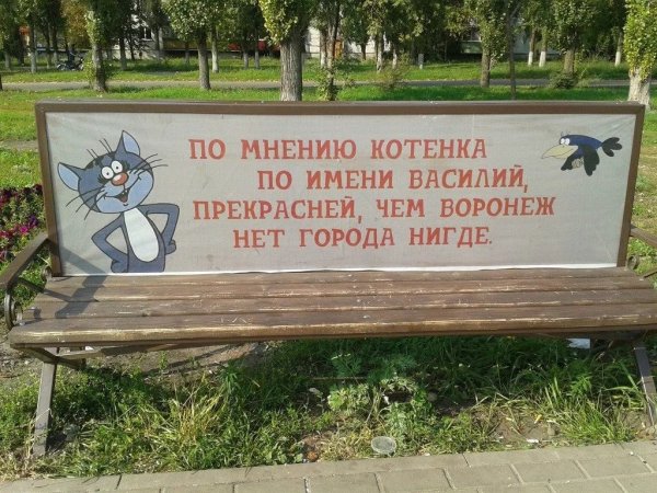 Прикольные надписи на скамейках