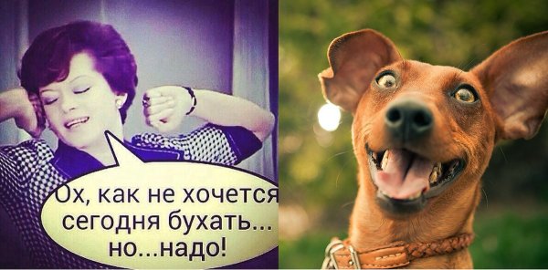 Пятница смешные картинки