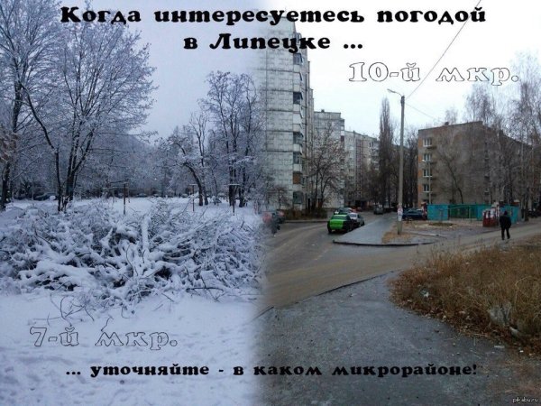 Картинки про погоду прикольные с надписями