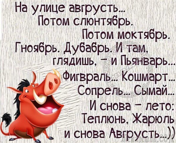 Прикольные фразы