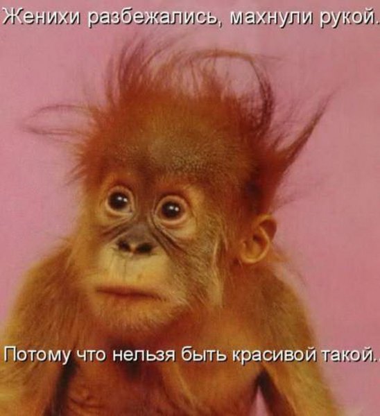 Женихи разбежались махнули