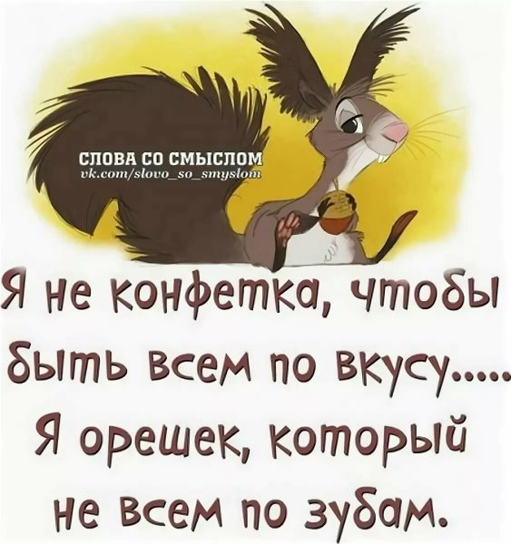 Интересные высказывания в картинках