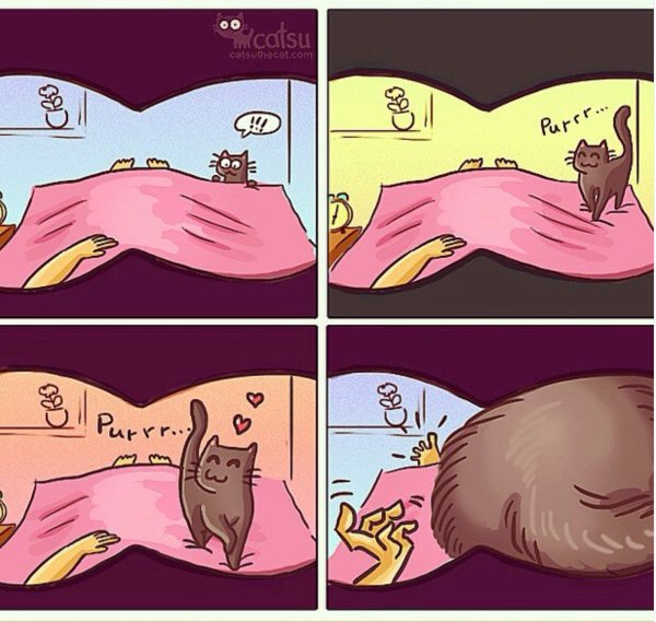 Картинки смешных котов из комиксов