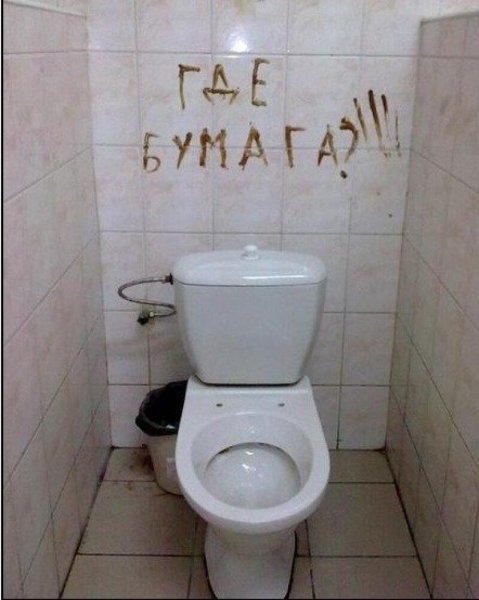 Прикол с унитазом и туалетной бумагой