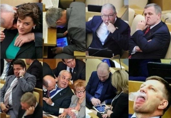 Смешные картинки депутатов госдумы