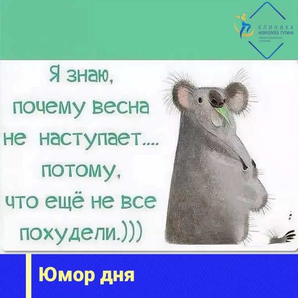 Смешные цитаты про весну