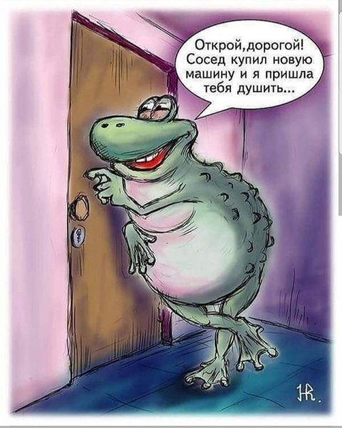 Шутки про жаб