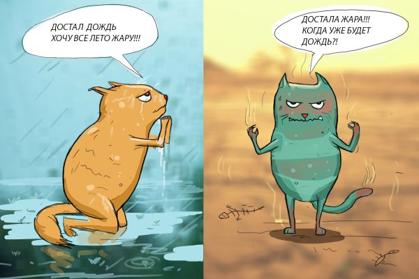 Мемы про жару летом